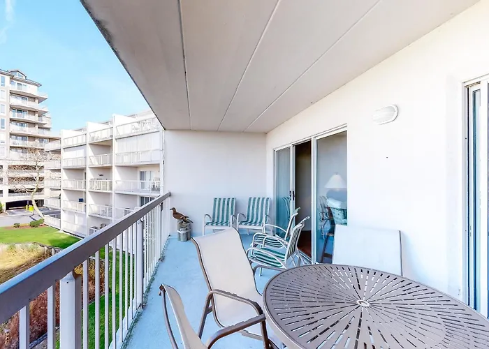 Triton's Trumpet C 504 * Ocean City