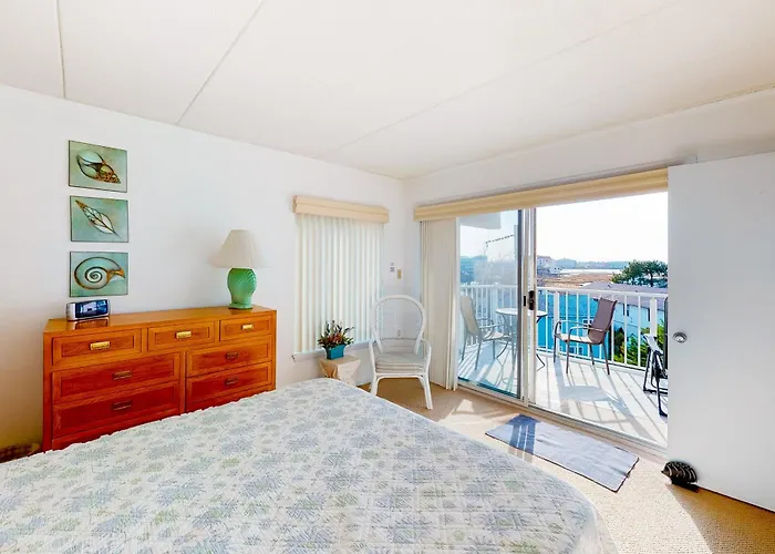 Triton's Trumpet C 504 Ocean City