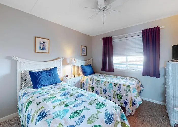 Triton's Trumpet C 504 Ocean City